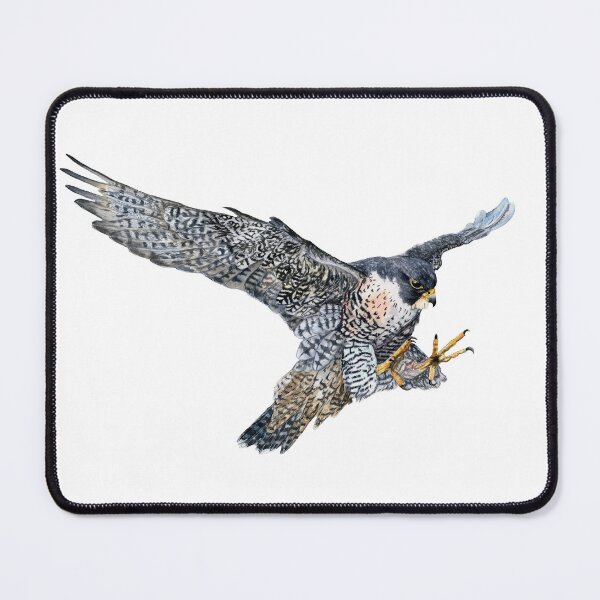 Item preview, Peregrine Falcon in Flight designed and sold by Black-Vulture.