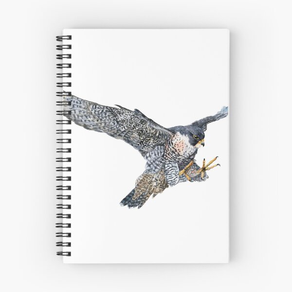 Item preview, Peregrine Falcon in Flight designed and sold by Black-Vulture.