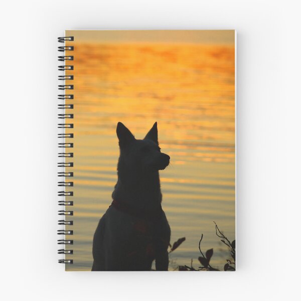 Item preview, Husky in the sunset at the sea designed and sold by Infinity81.
