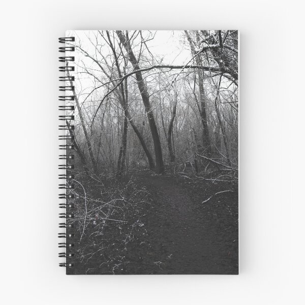 Item preview, Gloomy path, winter forest  designed and sold by antithesisw.