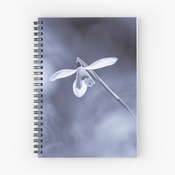 Item preview,  Digital photograph of Snowdrop designed and sold by SimonJohnson1.