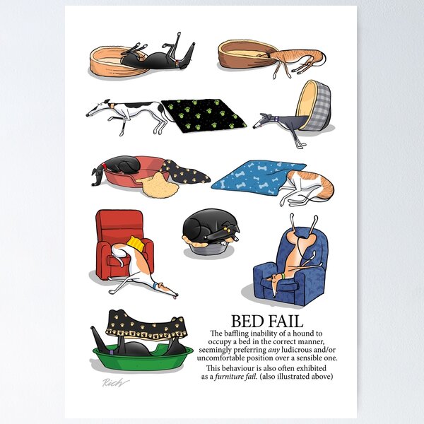 Item preview, Greyhound Glossary: Bed Fail. A Redbubble exclusive design designed and sold by RichSkipworth.