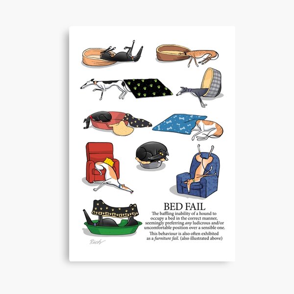 Greyhound Glossary: Bed Fail. A Redbubble exclusive design Canvas Print