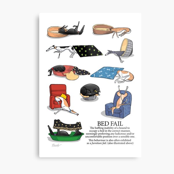Greyhound Glossary: Bed Fail. A Redbubble exclusive design Metal Print