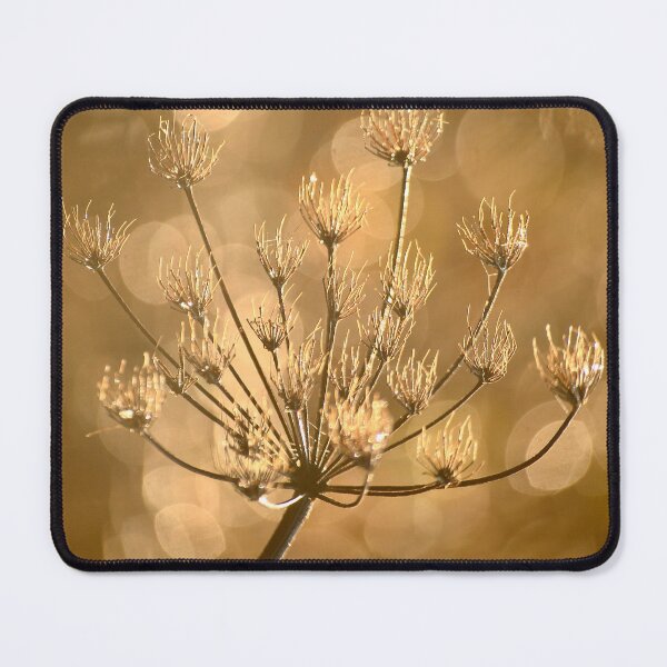 Item preview,  Digital photograph of  sunlit  frosted grass designed and sold by SimonJohnson1.