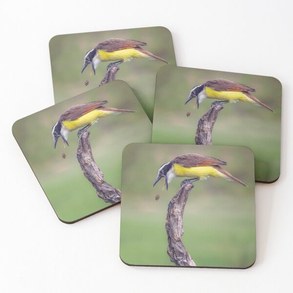 Item preview, Great Kiskadee South Texas 2 designed and sold by PhotoArt by Joan Carroll.