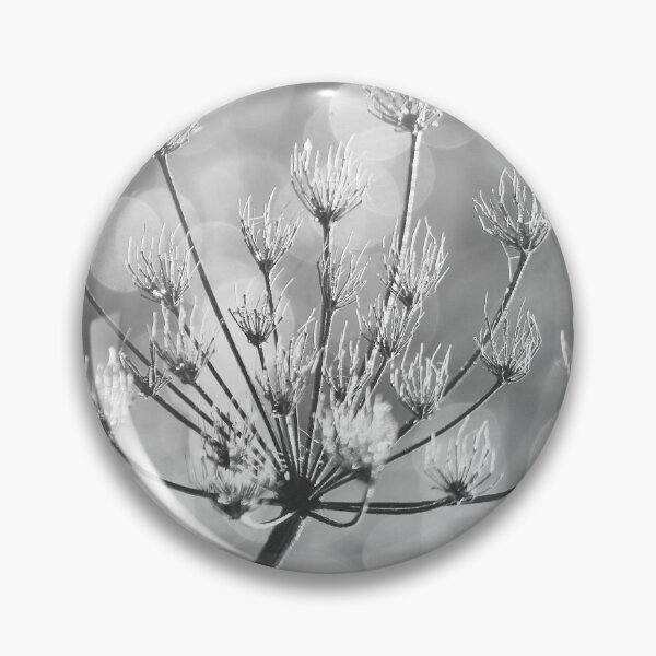 Item preview,  Digital photograph of sunlit  frosted grass in monochrome  designed and sold by SimonJohnson1.