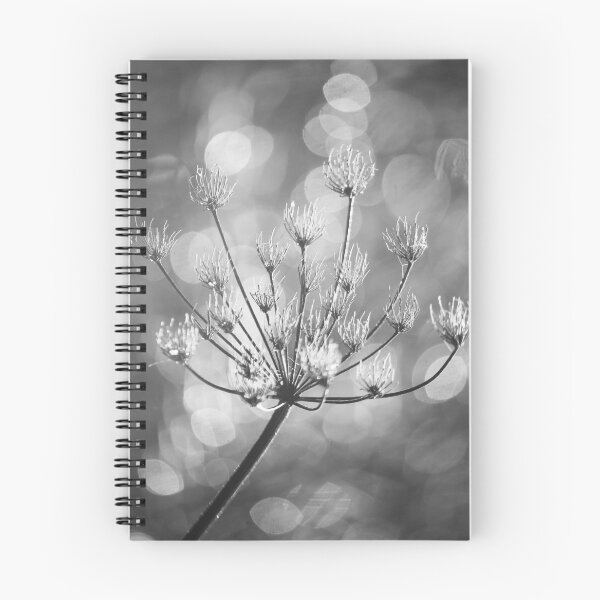 Item preview,  Digital photograph of sunlit  frosted grass in monochrome  designed and sold by SimonJohnson1.