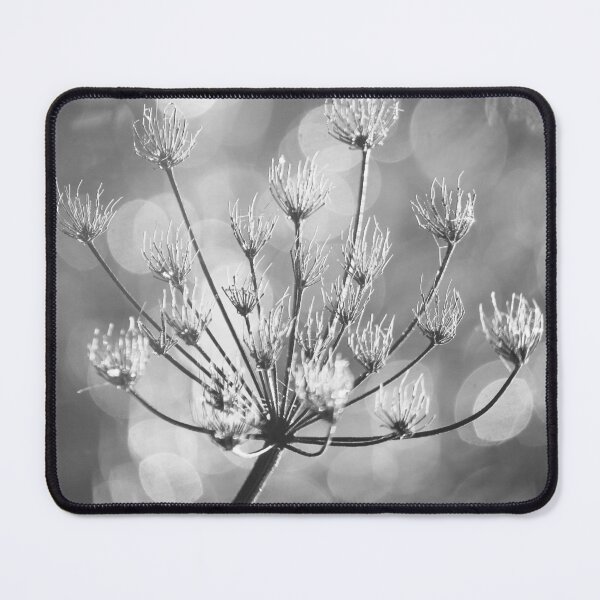 Item preview,  Digital photograph of sunlit  frosted grass in monochrome  designed and sold by SimonJohnson1.