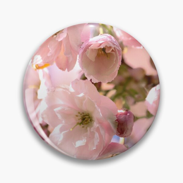 Item preview,  Digital photograph of sunlit spring Cherry Blossom designed and sold by SimonJohnson1.
