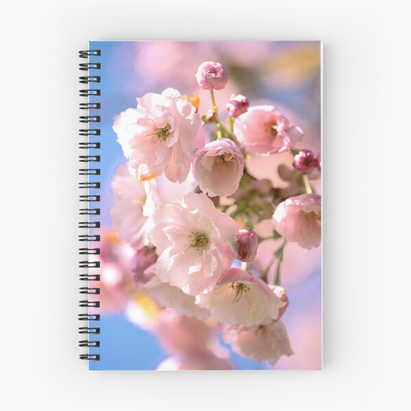 Item preview,  Digital photograph of sunlit spring Cherry Blossom designed and sold by SimonJohnson1.