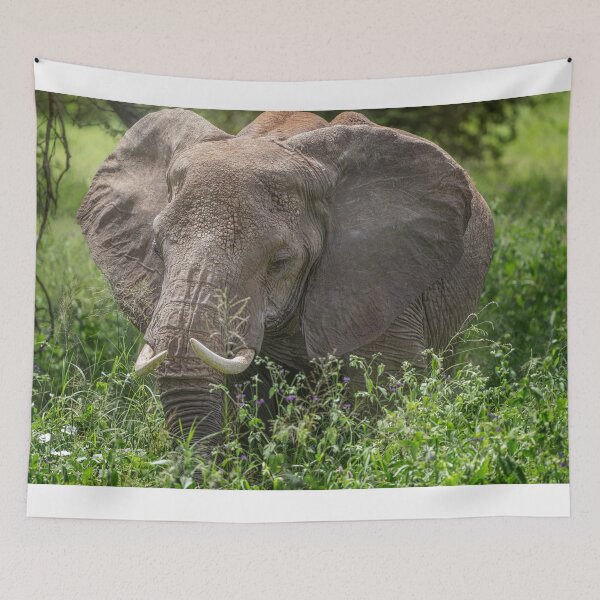 Item preview, Elephant Grazing Tanzania Africa designed and sold by PhotoArt by Joan Carroll.