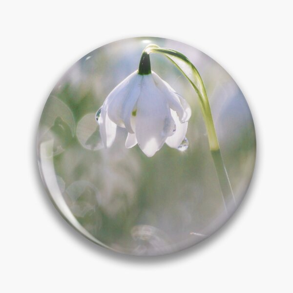 Item preview,  Digital photograph of sunlit spring Snowdrop designed and sold by SimonJohnson1.