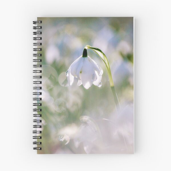 Item preview,  Digital photograph of sunlit spring Snowdrop designed and sold by SimonJohnson1.