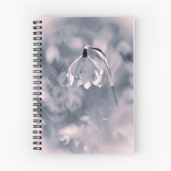 Item preview,  Digital photograph of sunlit spring Snowdrop designed and sold by SimonJohnson1.