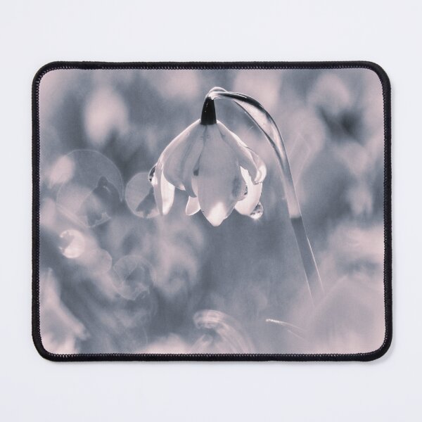 Item preview,  Digital photograph of sunlit spring Snowdrop designed and sold by SimonJohnson1.