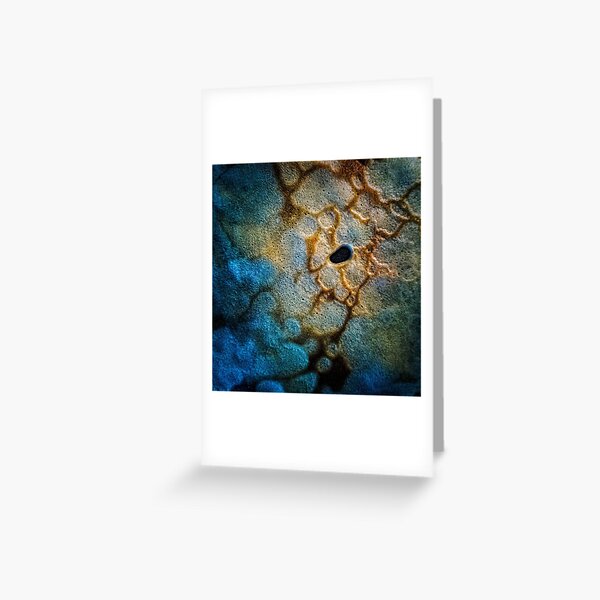 Vista previa del artículo con la obra «Tortita», diseñado y vendido por Visual Arts Sławomir Grzanek.