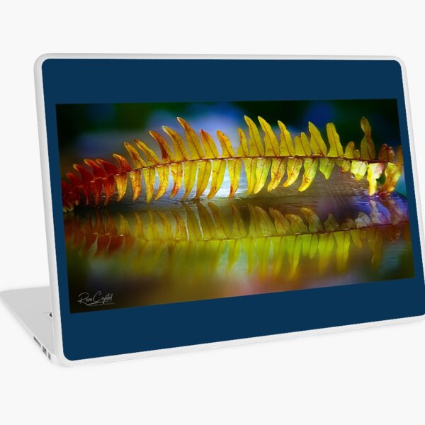Macbook Air 13" (2015)