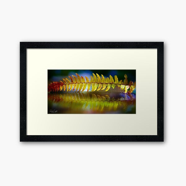 Framed Print