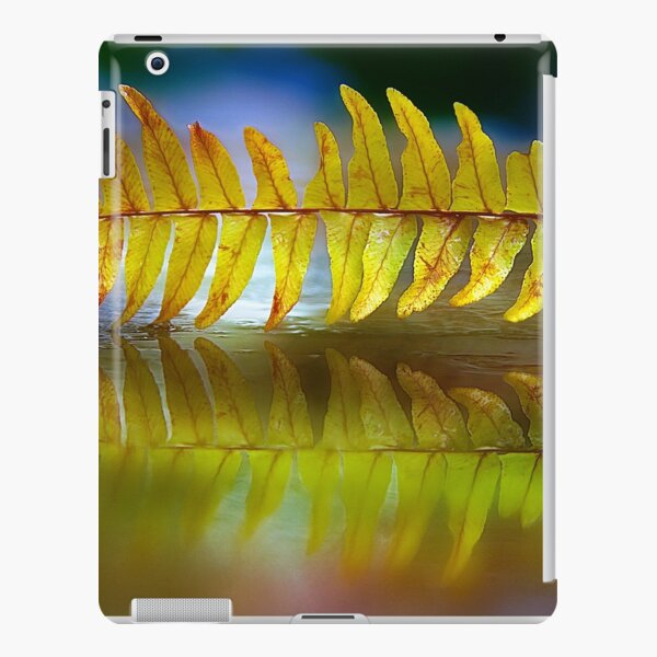 iPad Retina/3/2 - Snap