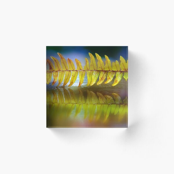 Acrylic Block