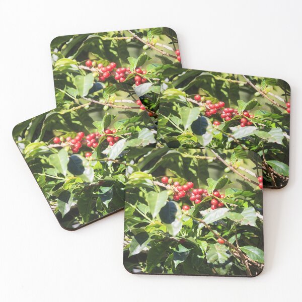 Item preview, Coffee beans on vine in Panama designed and sold by Travelways.