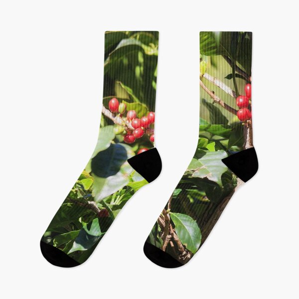 Item preview, Coffee beans on vine in Panama designed and sold by Travelways.