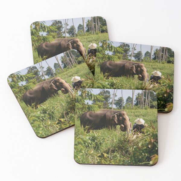 Item preview, Samui Elephant Home, an elephant conservation facility in Thailand (Koh Samui) designed and sold by Darya  Luganskaya.