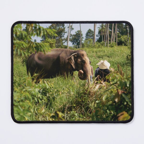 Item preview, Samui Elephant Home, an elephant conservation facility in Thailand (Koh Samui) designed and sold by Darya Luganskaya.