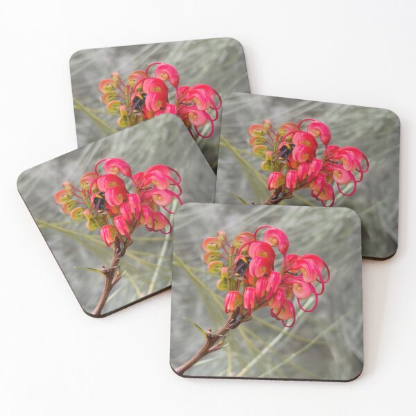 Item preview, Red Grevillea from Australia designed and sold by Michael van der Hoorn.