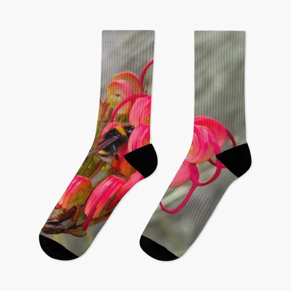 Item preview, Red Grevillea from Australia designed and sold by Michael van der Hoorn.
