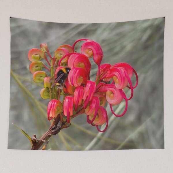 Item preview, Red Grevillea from Australia designed and sold by Michael van der Hoorn.