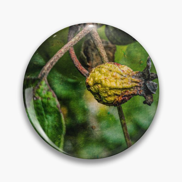 Item preview, Fruit designed and sold by Visual Arts Sławomir Grzanek.