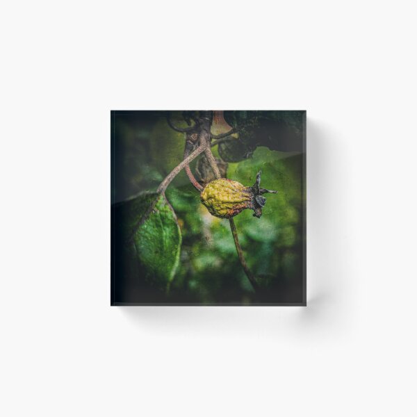 Item preview, Fruit designed and sold by Visual Arts Sławomir Grzanek.