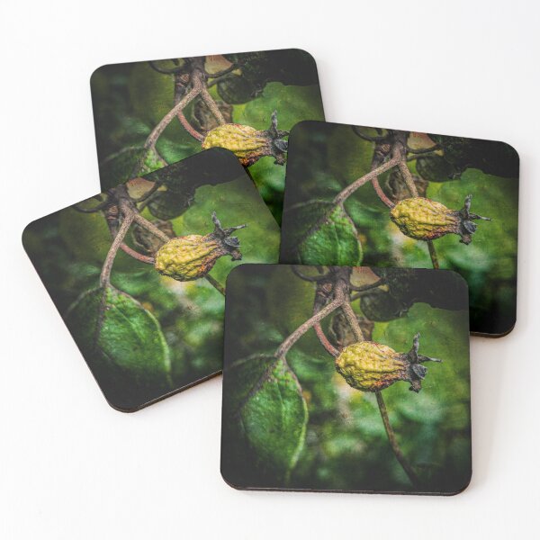 Item preview, Fruit designed and sold by Visual Arts Sławomir Grzanek.