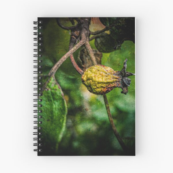 Item preview, Fruit designed and sold by Visual Arts Sławomir Grzanek.