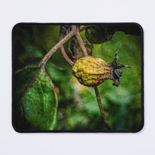 Item preview, Fruit designed and sold by Visual Arts Sławomir Grzanek.