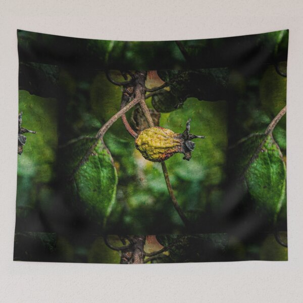 Item preview, Fruit designed and sold by Visual Arts Sławomir Grzanek.