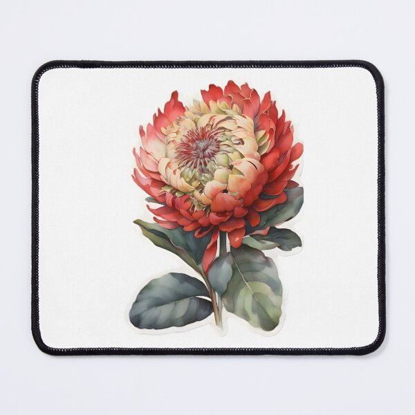 Item preview, Waratah designed and sold by HOMETOWN86.