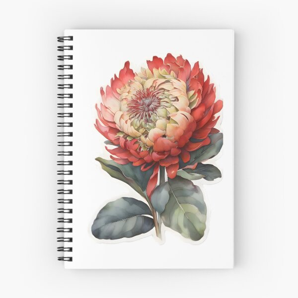 Item preview, Waratah designed and sold by HOMETOWN86.
