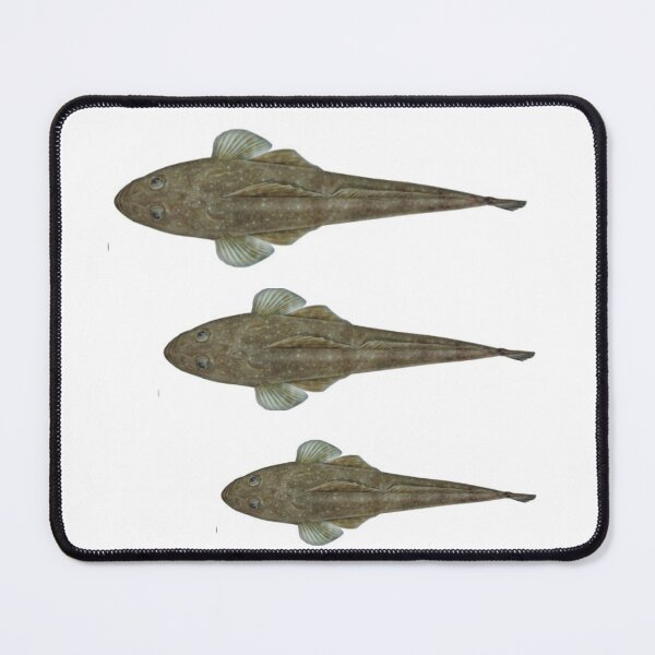 Item preview, Popular Dusky Flathead Fish  designed and sold by Reelyfishing.