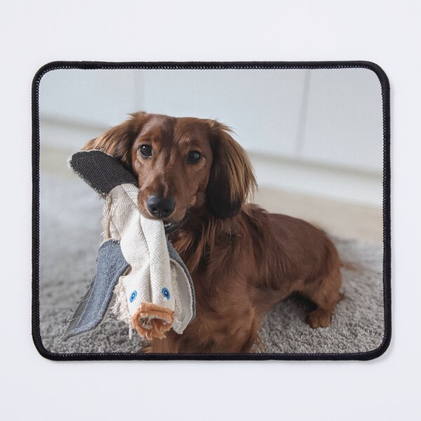 Item preview, Whiskey the duck fright designed and sold by ManthoDesign.