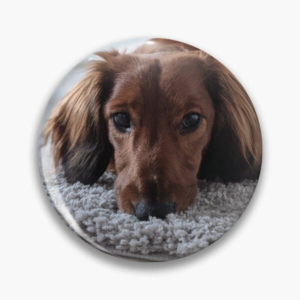 Item preview, Whiskey... it wasn't me... designed and sold by ManthoDesign.