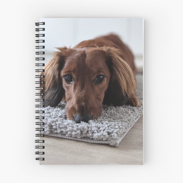 Item preview, Whiskey... it wasn't me... designed and sold by ManthoDesign.