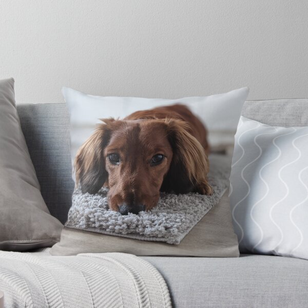 Item preview, Whiskey... it wasn't me... designed and sold by ManthoDesign.