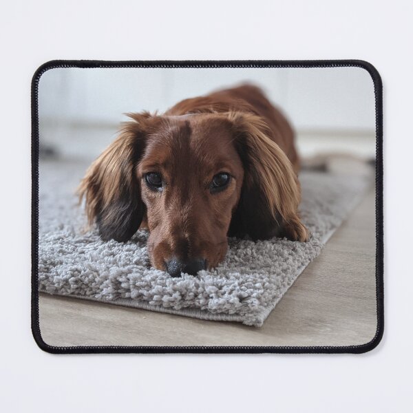 Item preview, Whiskey... it wasn't me... designed and sold by ManthoDesign.