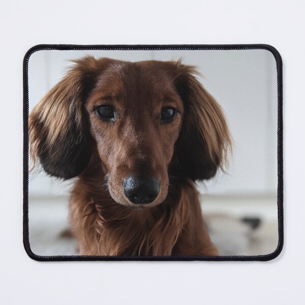 Item preview, Whiskey... I'm awake... designed and sold by ManthoDesign.