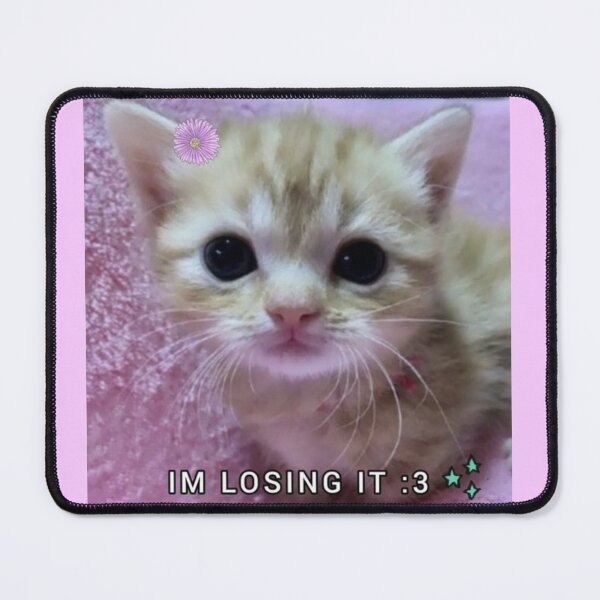 Item preview, kitten im losing it :3 uwu designed and sold by staticc.