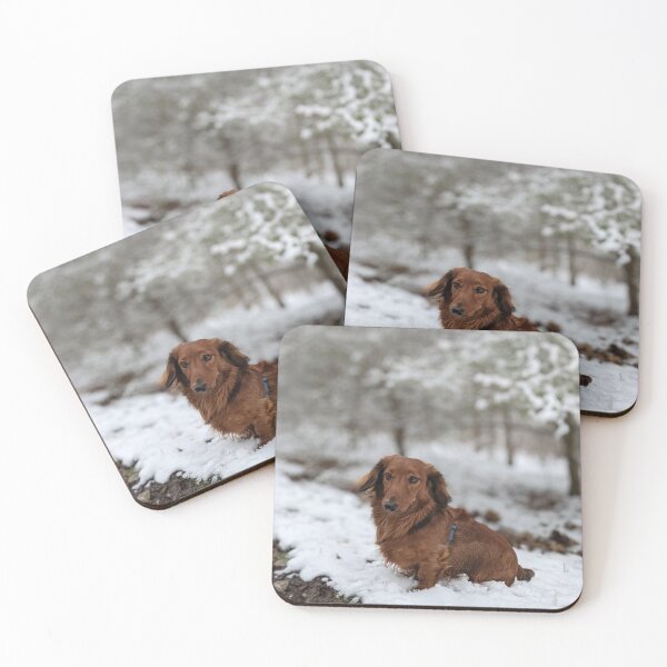 Item preview, Whiskey... I'm on the way... does she have a treat? designed and sold by ManthoDesign.