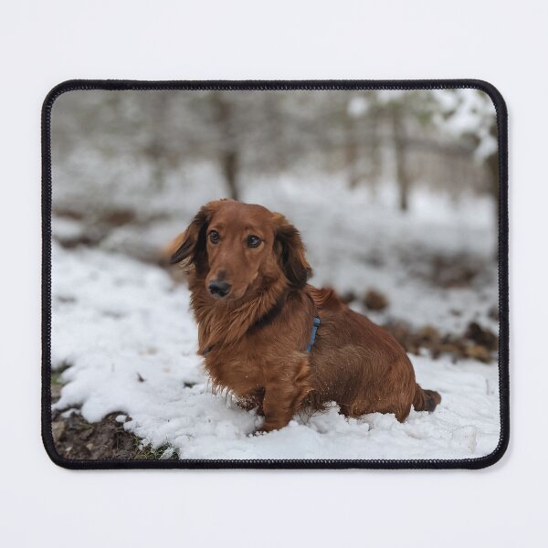 Item preview, Whiskey... I'm on the way... does she have a treat? designed and sold by ManthoDesign.